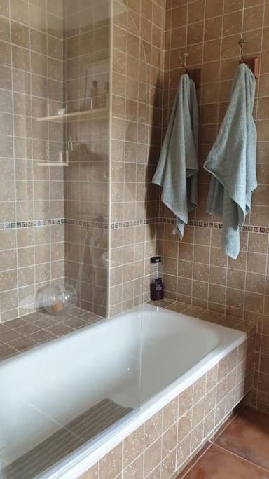 Mancha Real Casa La Hojiblancaヴィラ エクステリア 写真