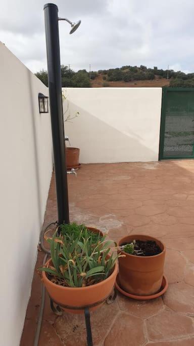 Mancha Real Casa La Hojiblancaヴィラ エクステリア 写真